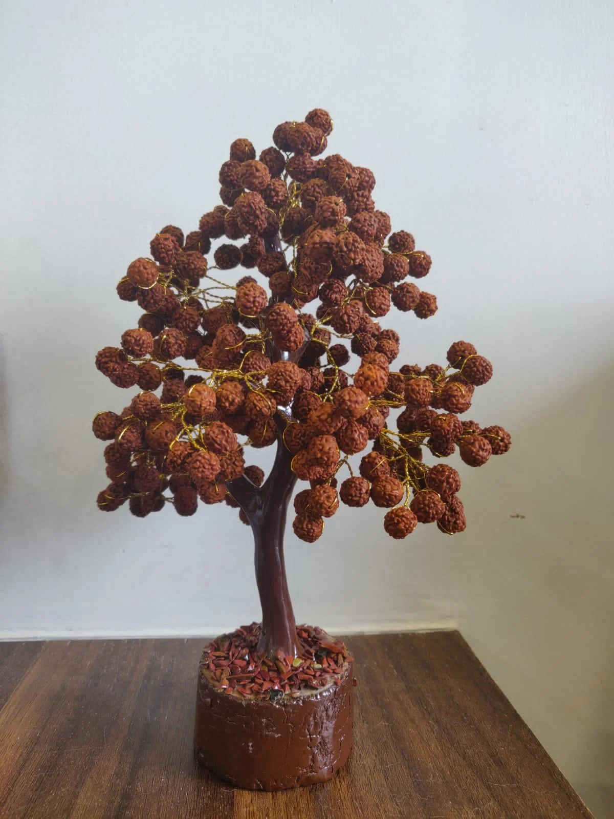 Rudraksh Tree